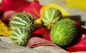 低糖質ミールキットの消費期限管理のポイントは？