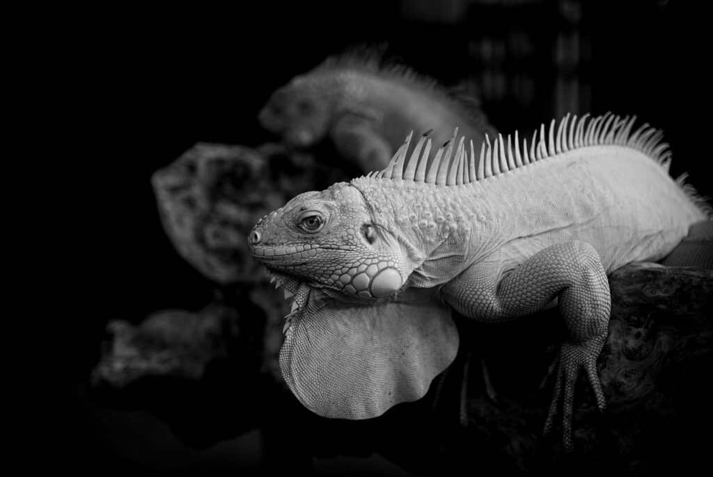 低糖キットを使った便の記録方法とは？