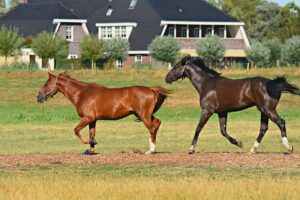 低糖生活を続けるためのコツは何ですか？