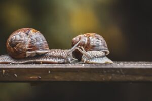 糖質制限を続けやすい方法は何？