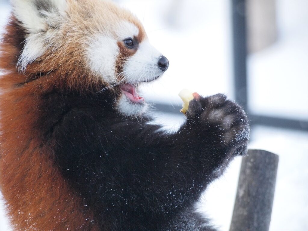 食べて痩せる食事のポイントは何？