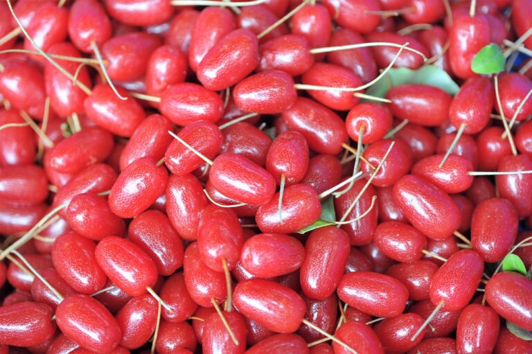 高たんぱく低糖質食事で健康的に痩せるためのポイントは？